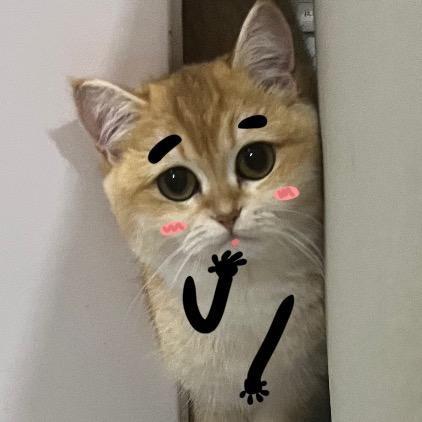 大口吸猫