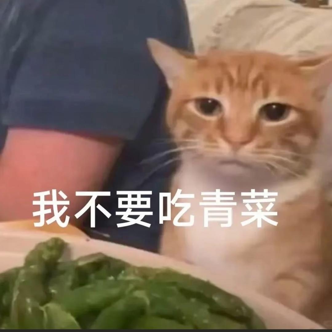 敲敲