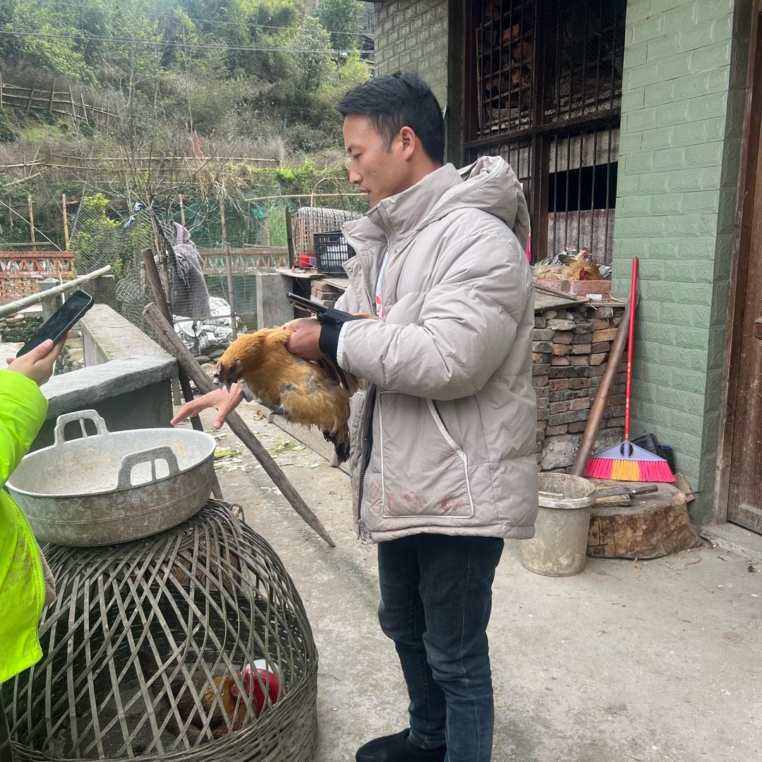 绥宁华少