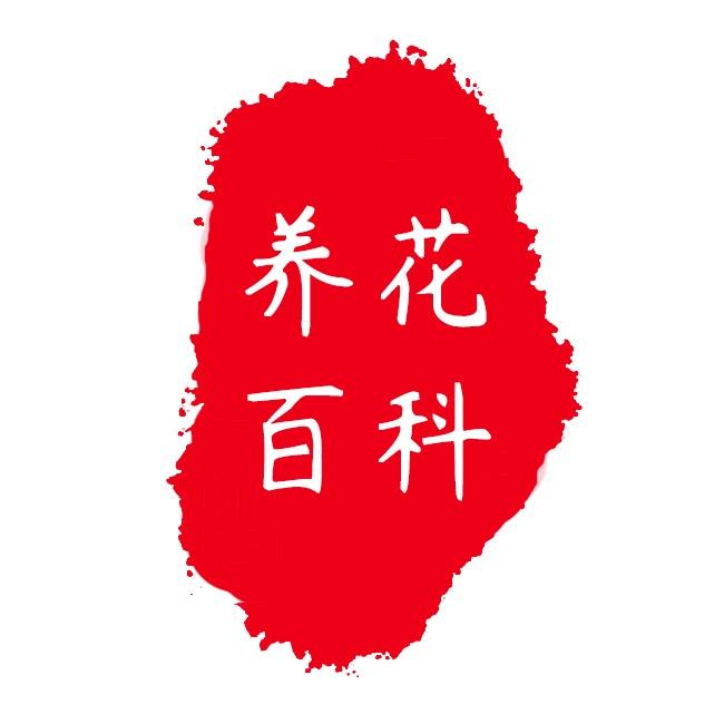 养花大掌柜