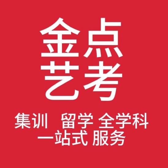 金点艺考（禁连赞176）