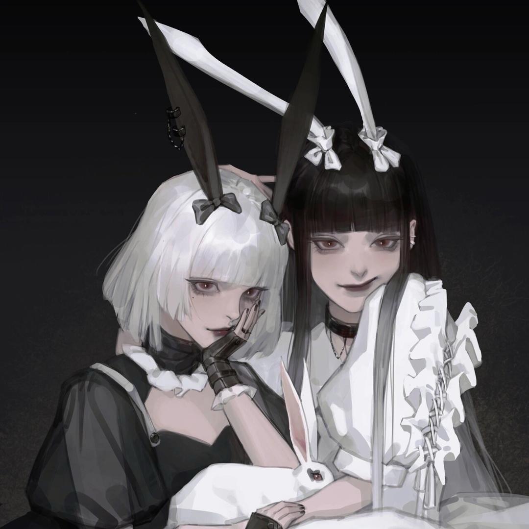 缪斯兔