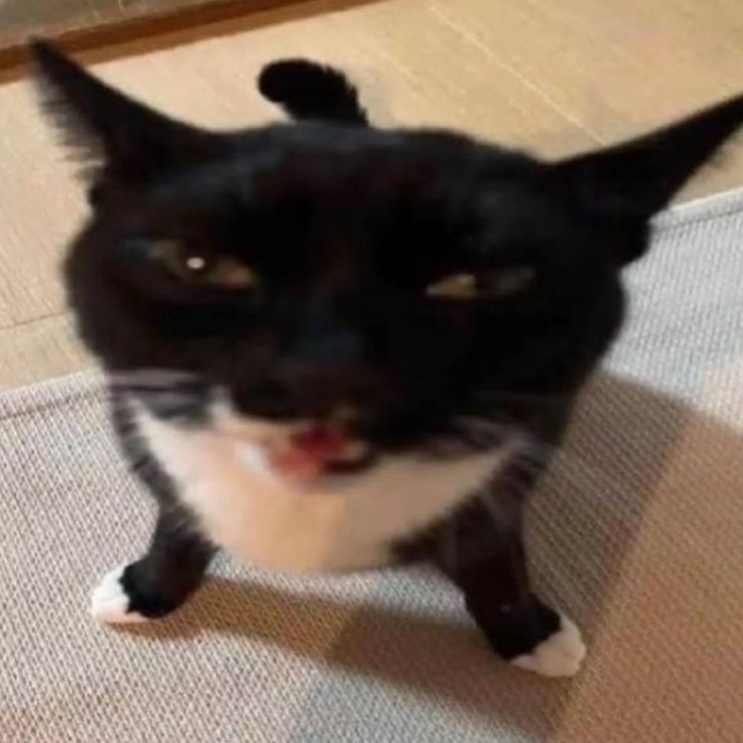 77^