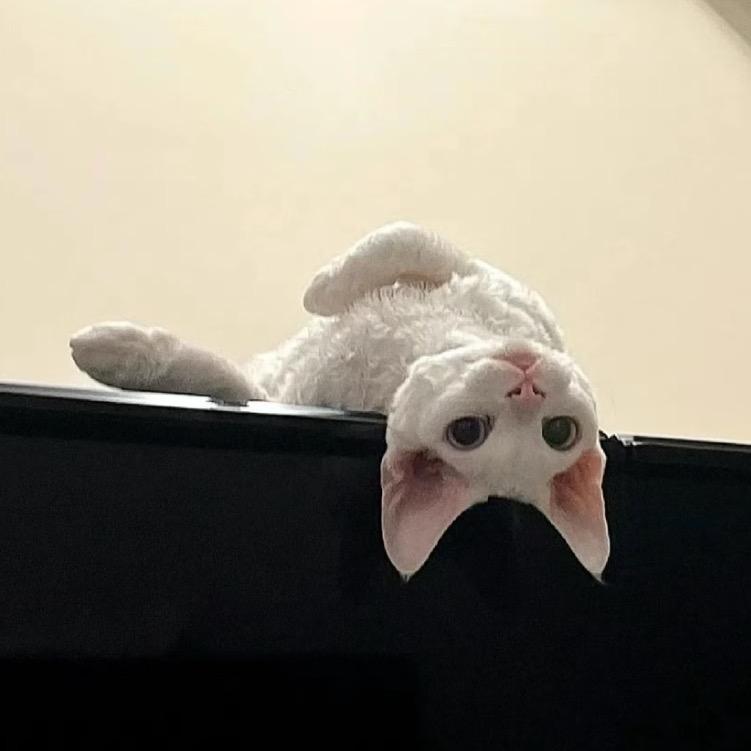 。。。，