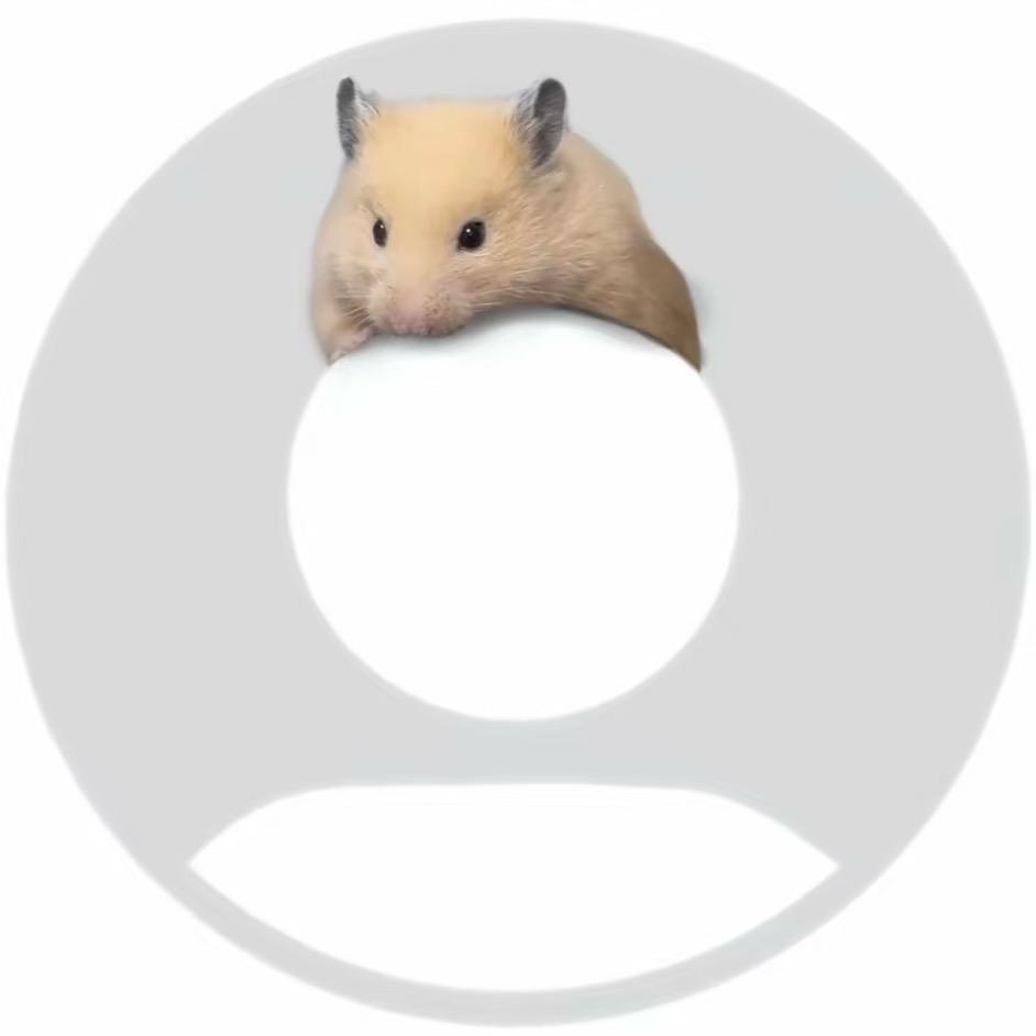 4_iwonly