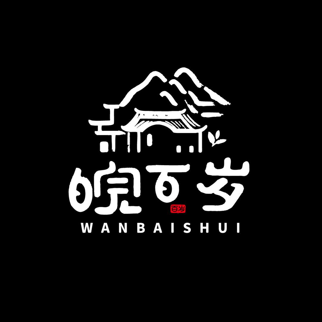 皖百岁精酿啤酒
