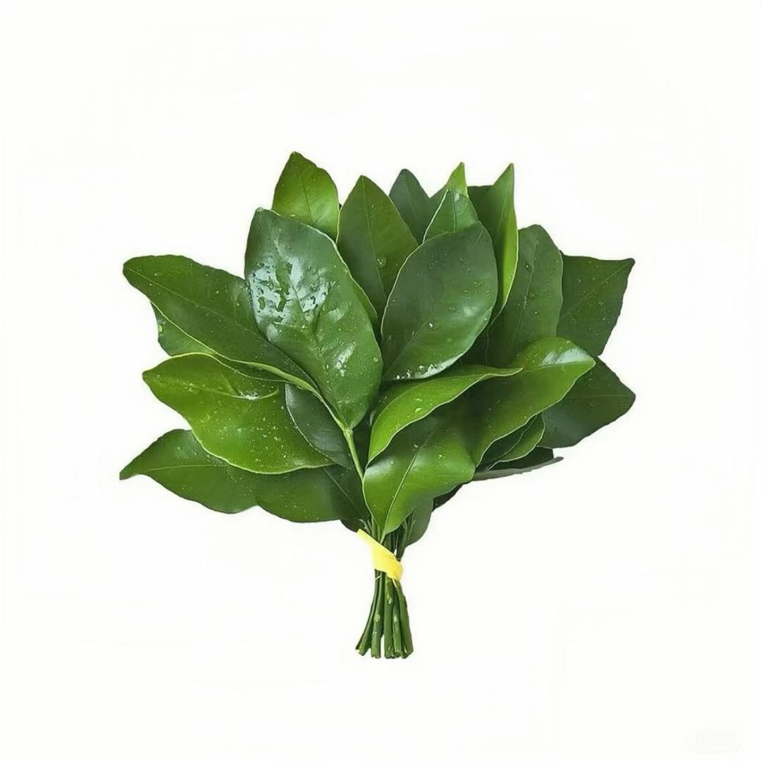 小瑶公主万福金安