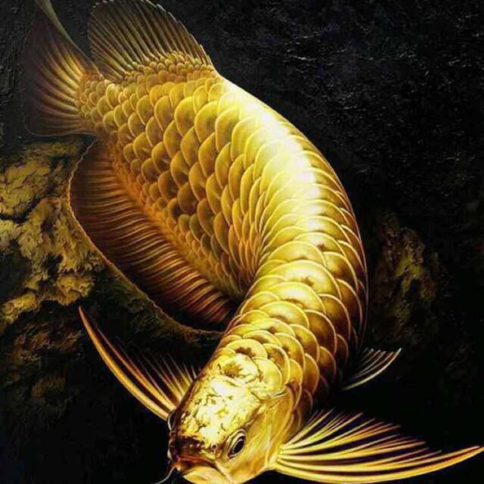 金沙