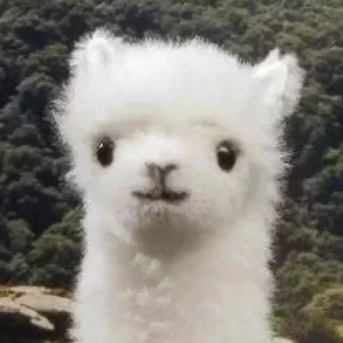 狍子啊