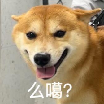 拿下狗