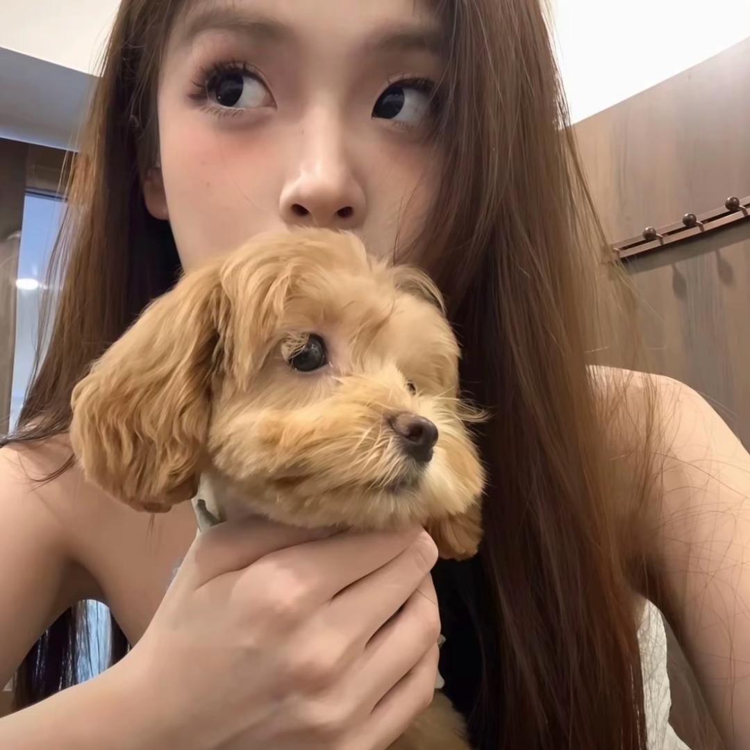 摆烂小鱼🐟