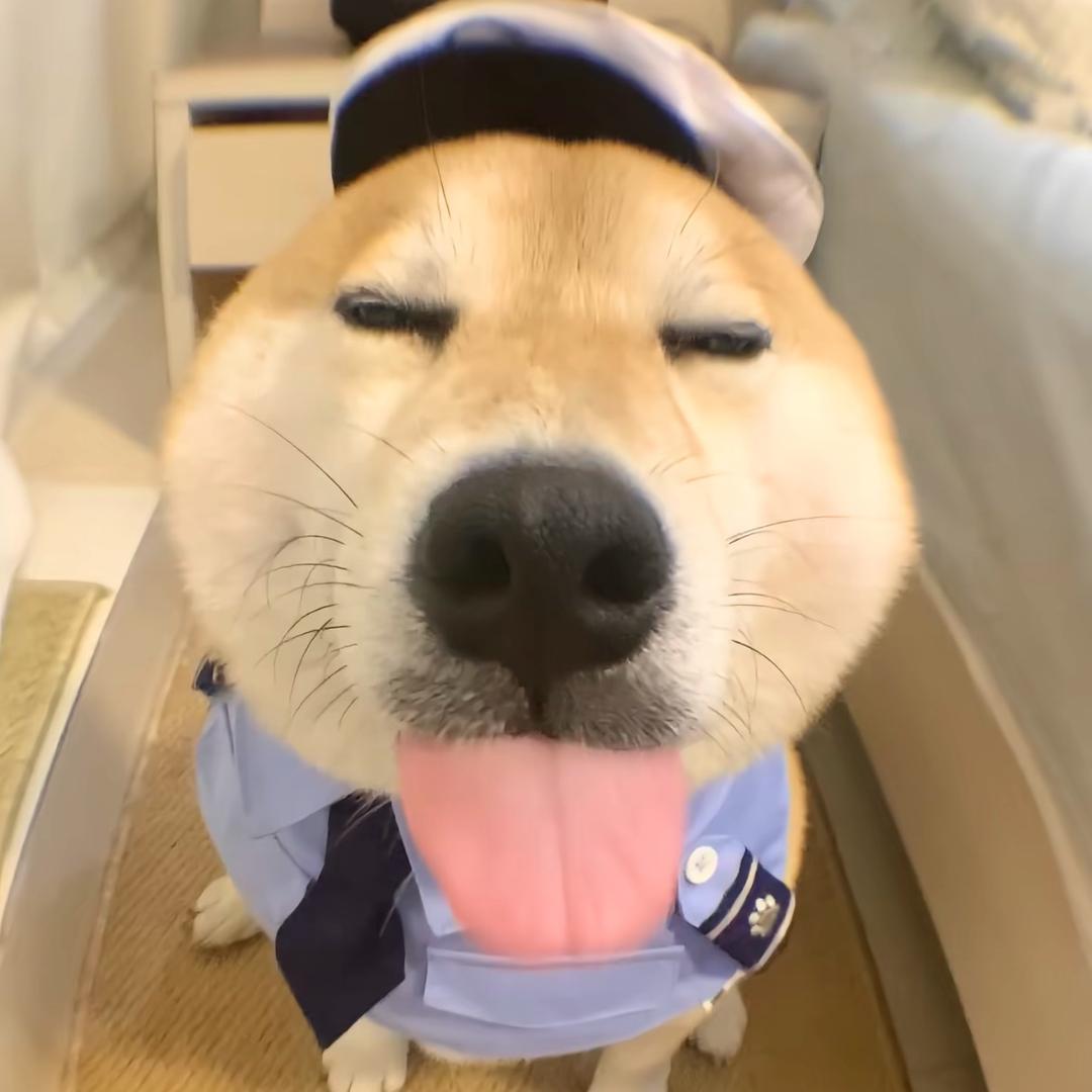 独咕九件