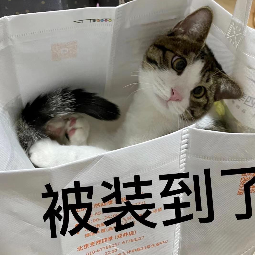 二班班长张花花