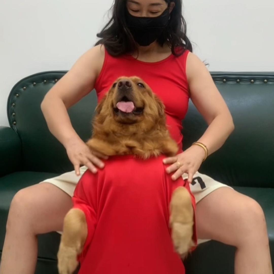 汪姑娘