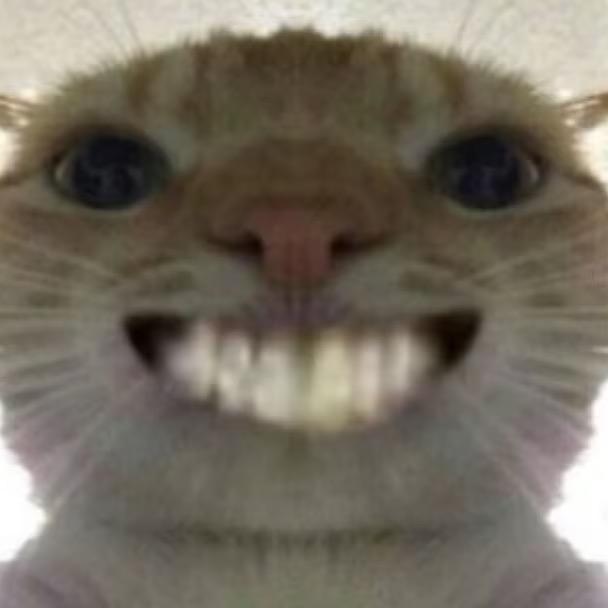 佳美