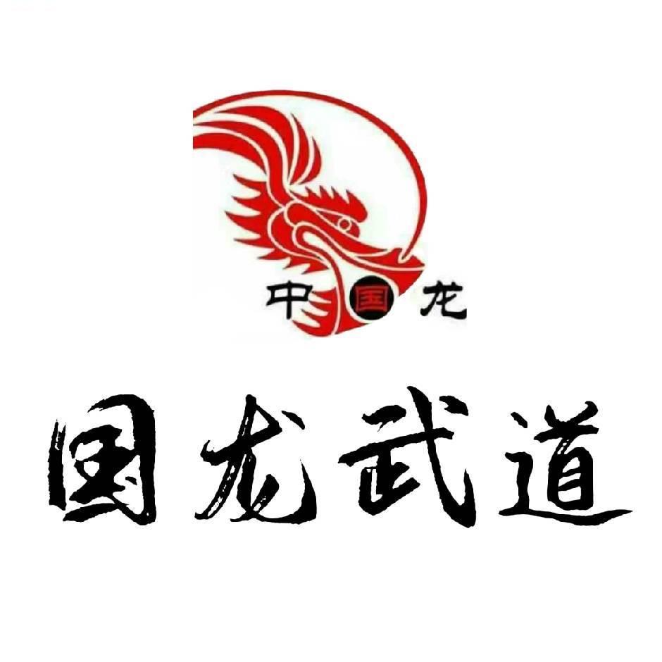 国龙武道
