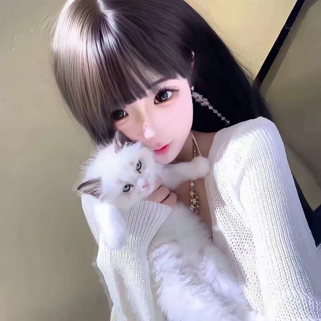 懒猫