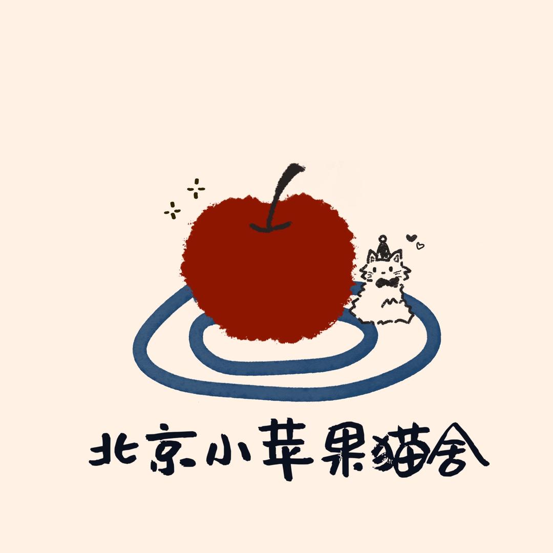 北京小苹果猫舍·德文