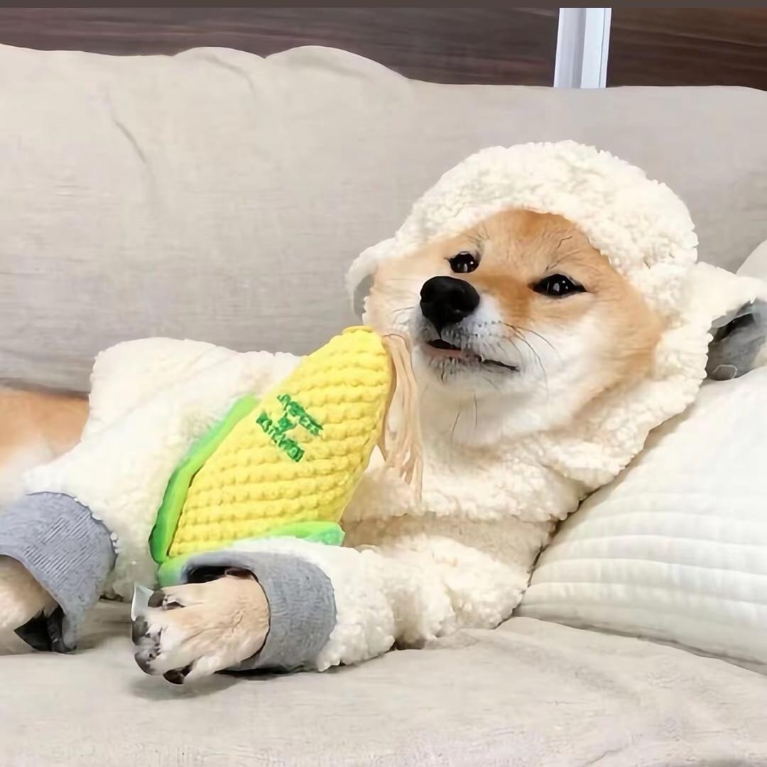 𝕃𝕦𝕔𝕜𝕪