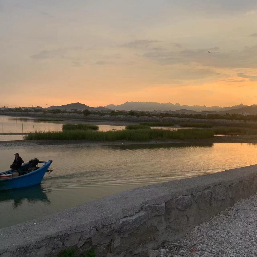 林彤～卖土鸡蛋