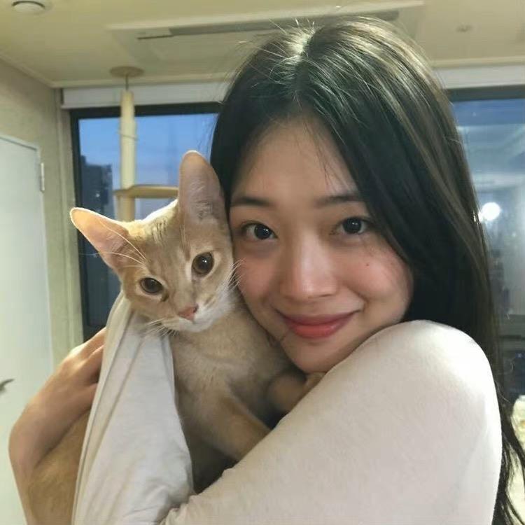 理理