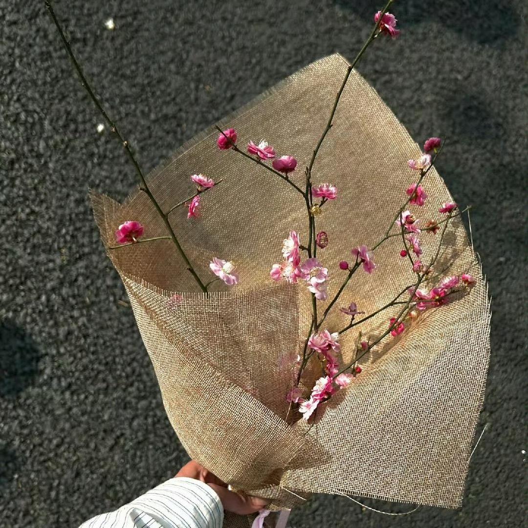 番茄乌梅（多见一次版）