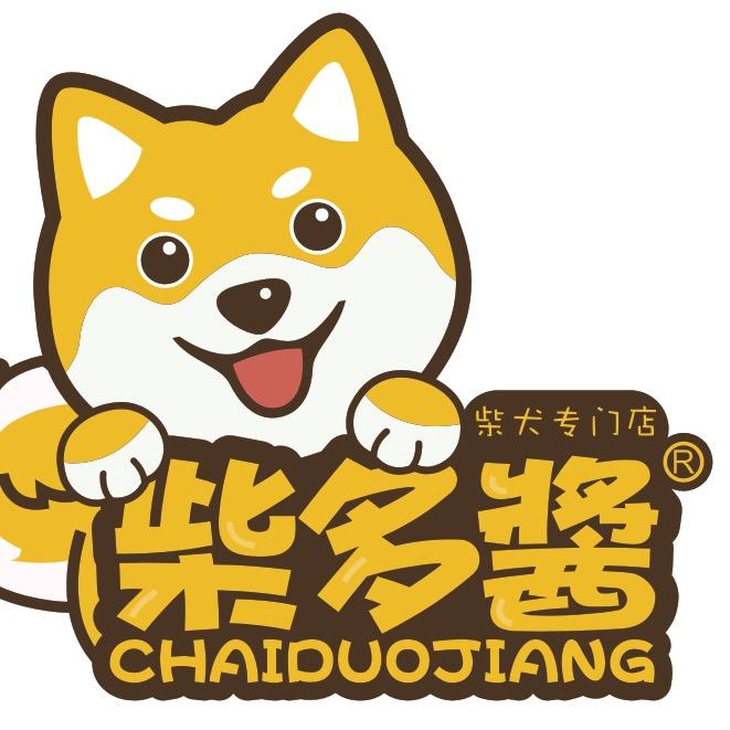 合肥柴多酱柴犬豆柴
