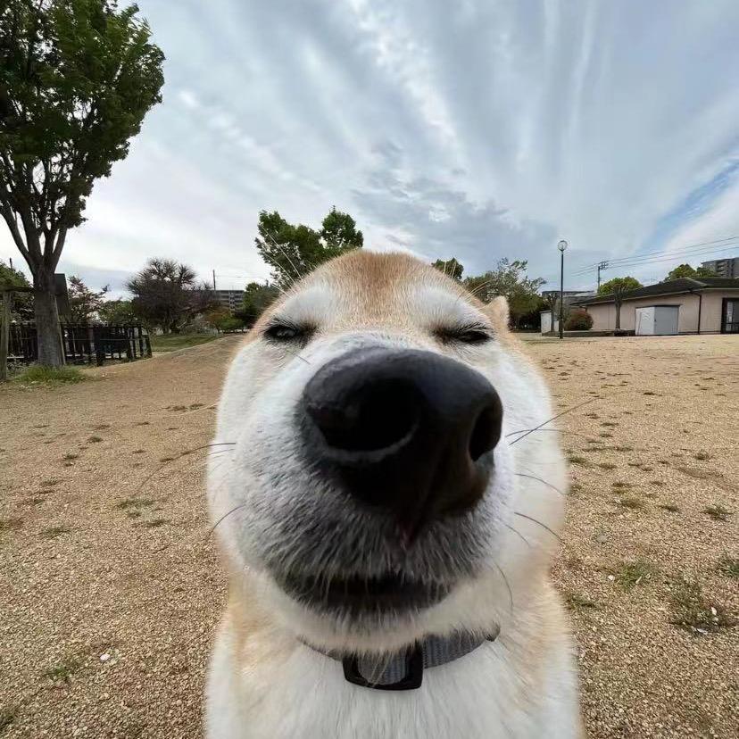 我要眯眯眼你事就大了