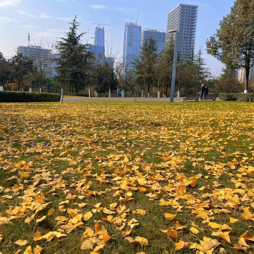 骑着西巴打八嘎