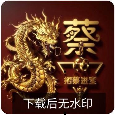老蔡