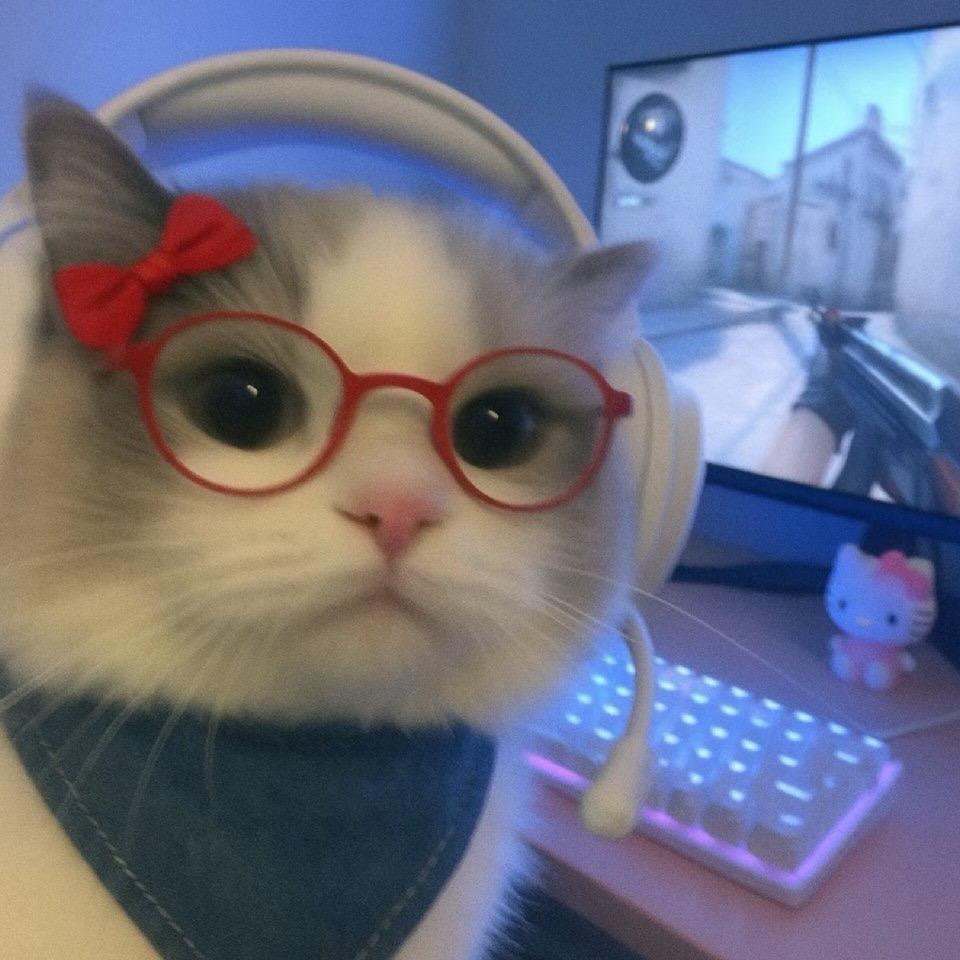 锦盛潮玩（苏苏拆卡）