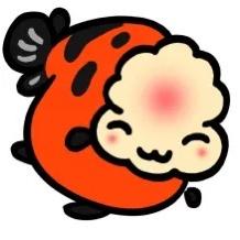 小美兰寿金鱼