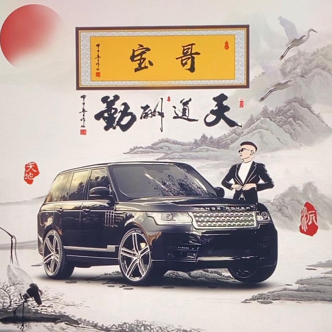 宝哥…………