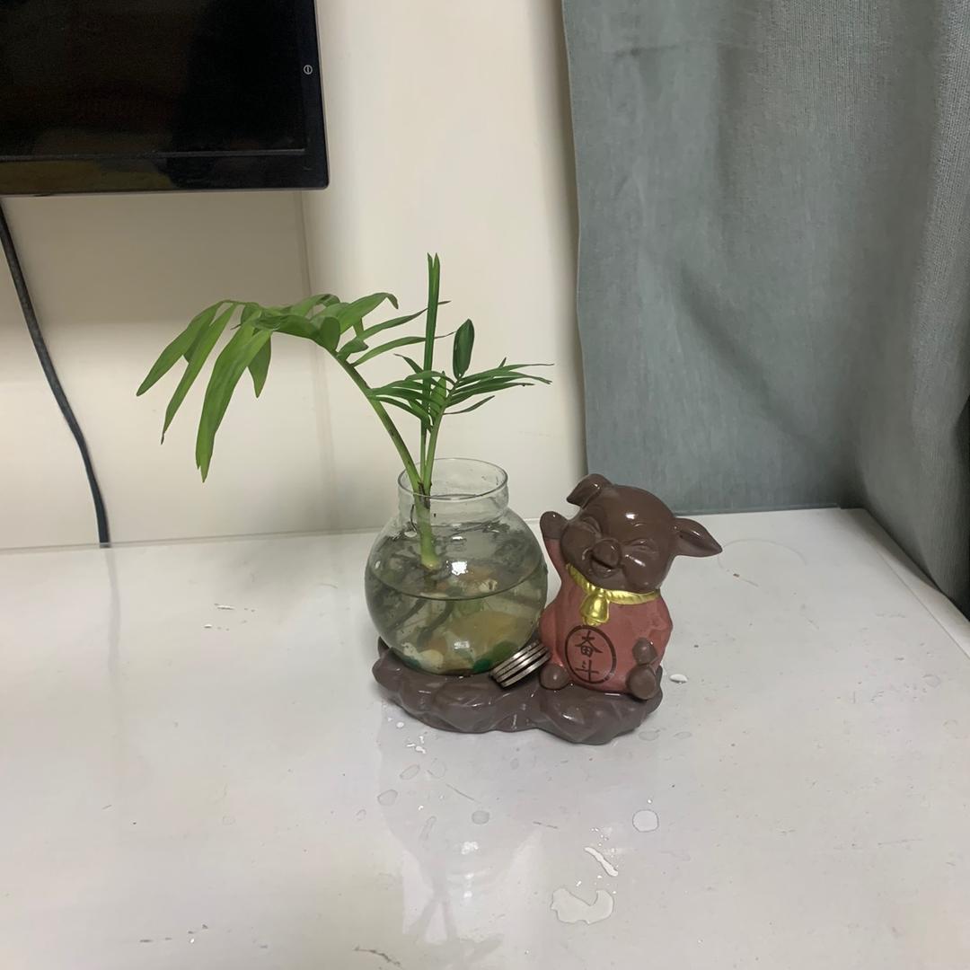 彤岳🙏