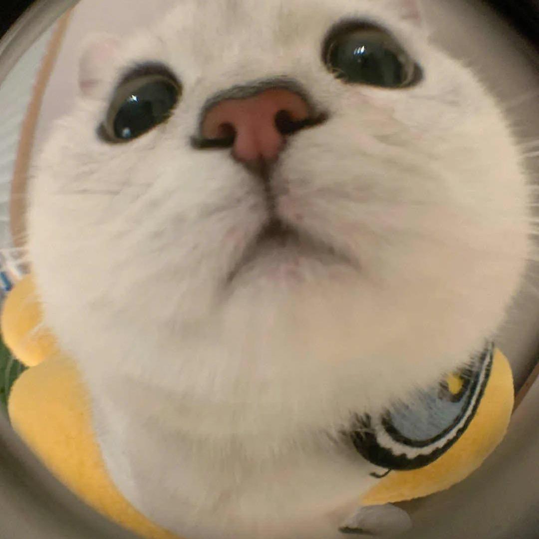 氿.
