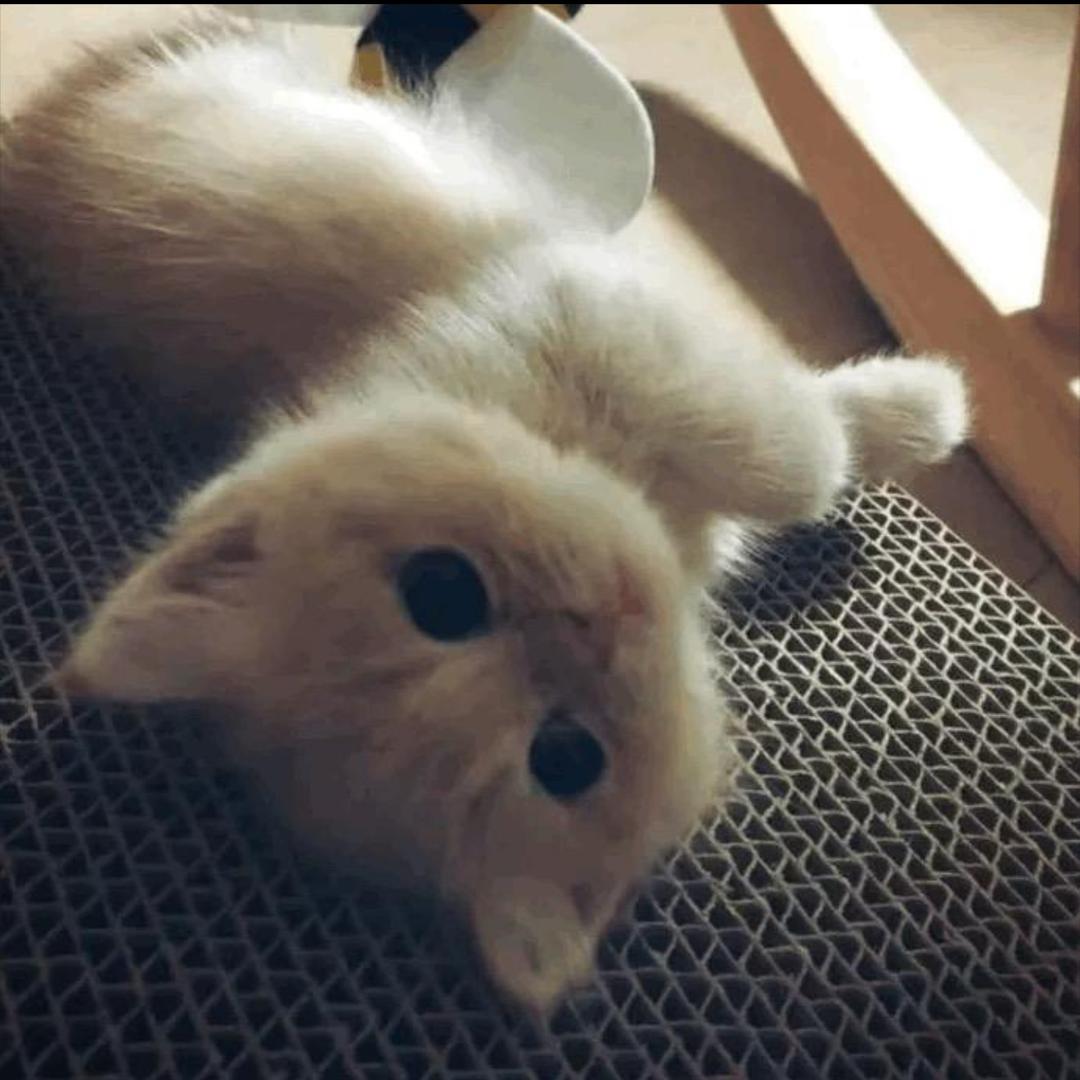 少7点🍚