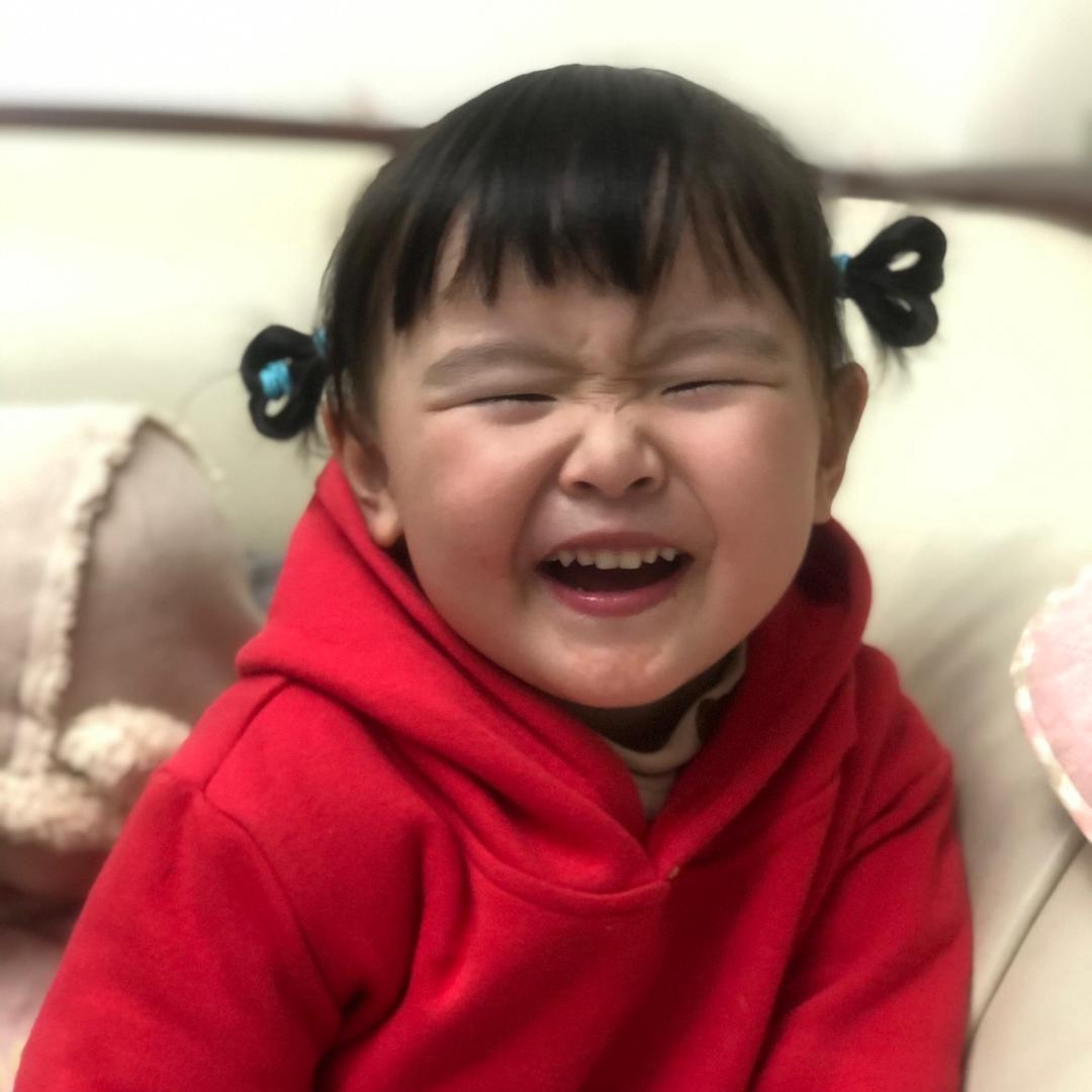 竹子和楠木的日常