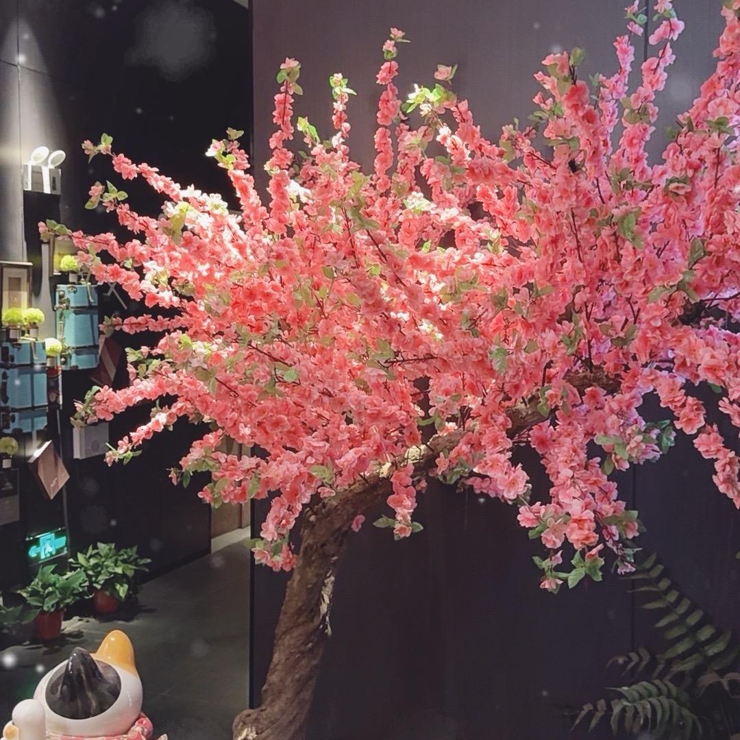 万豪spa