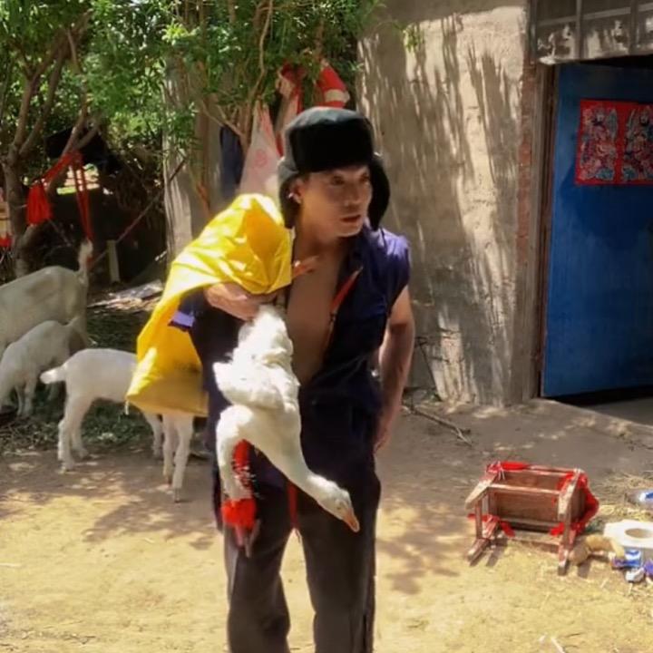 阳哥（乡村守护人）