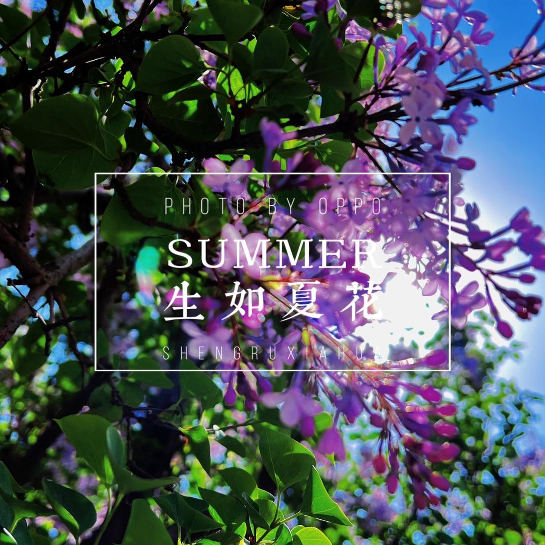 内蒙古甄选生活馆