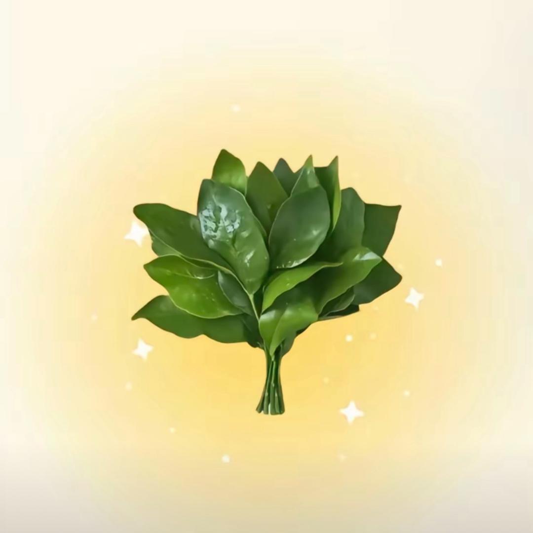 kitty大王·