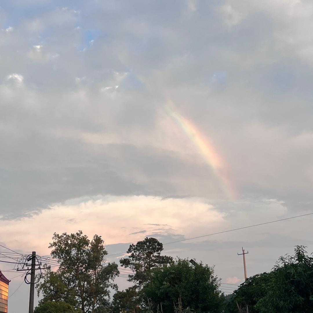 没有感情的团子