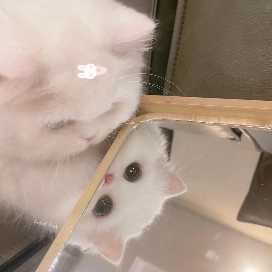 🌈钞票飞来