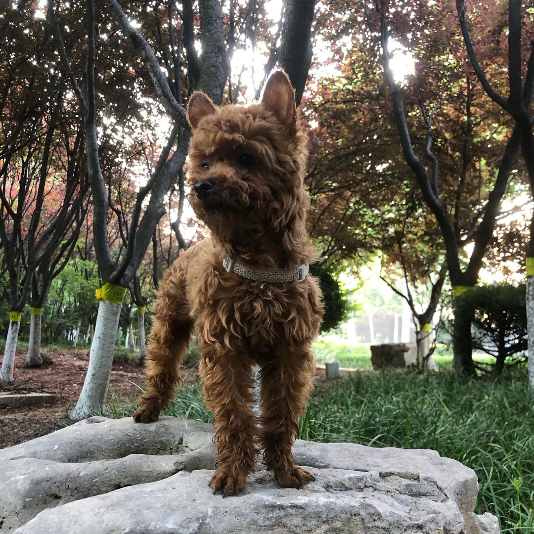 蛋蛋是个宝