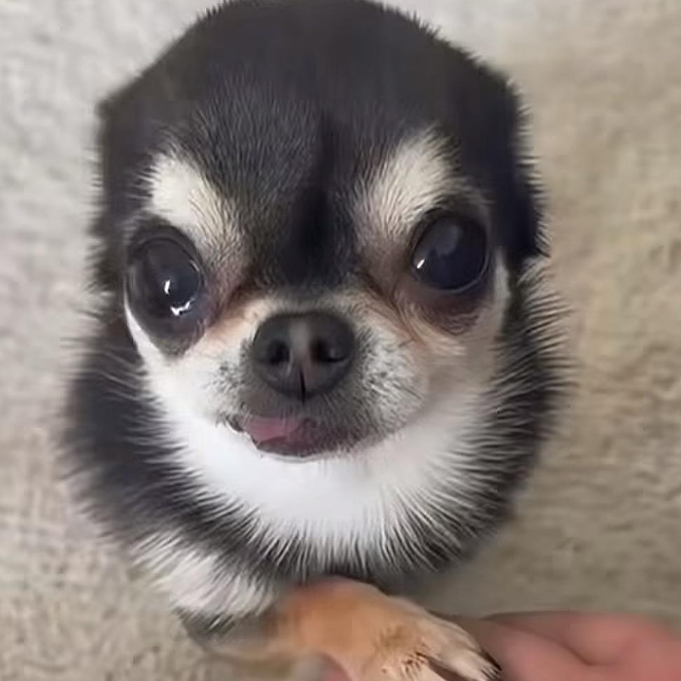 还有高手