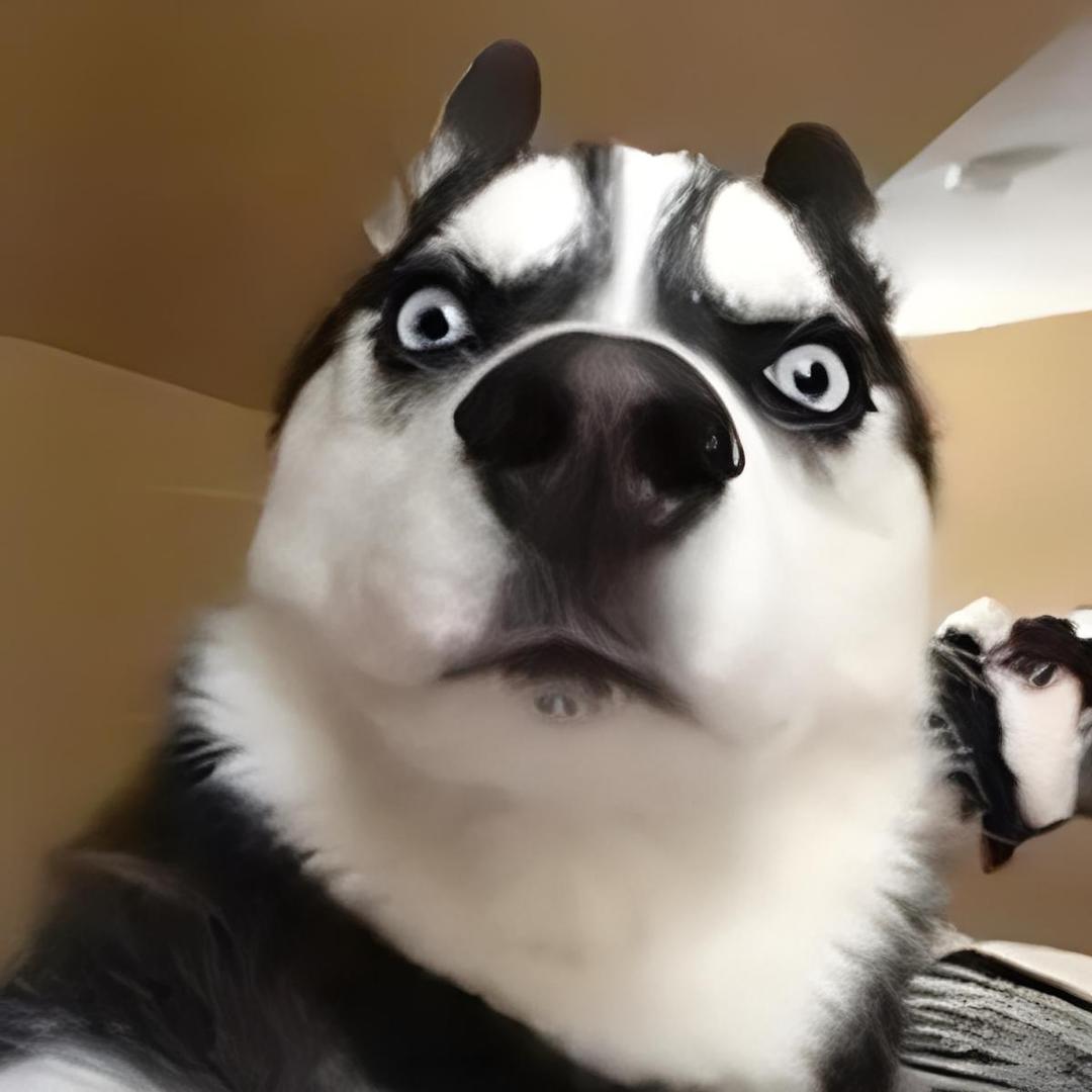 三只哈