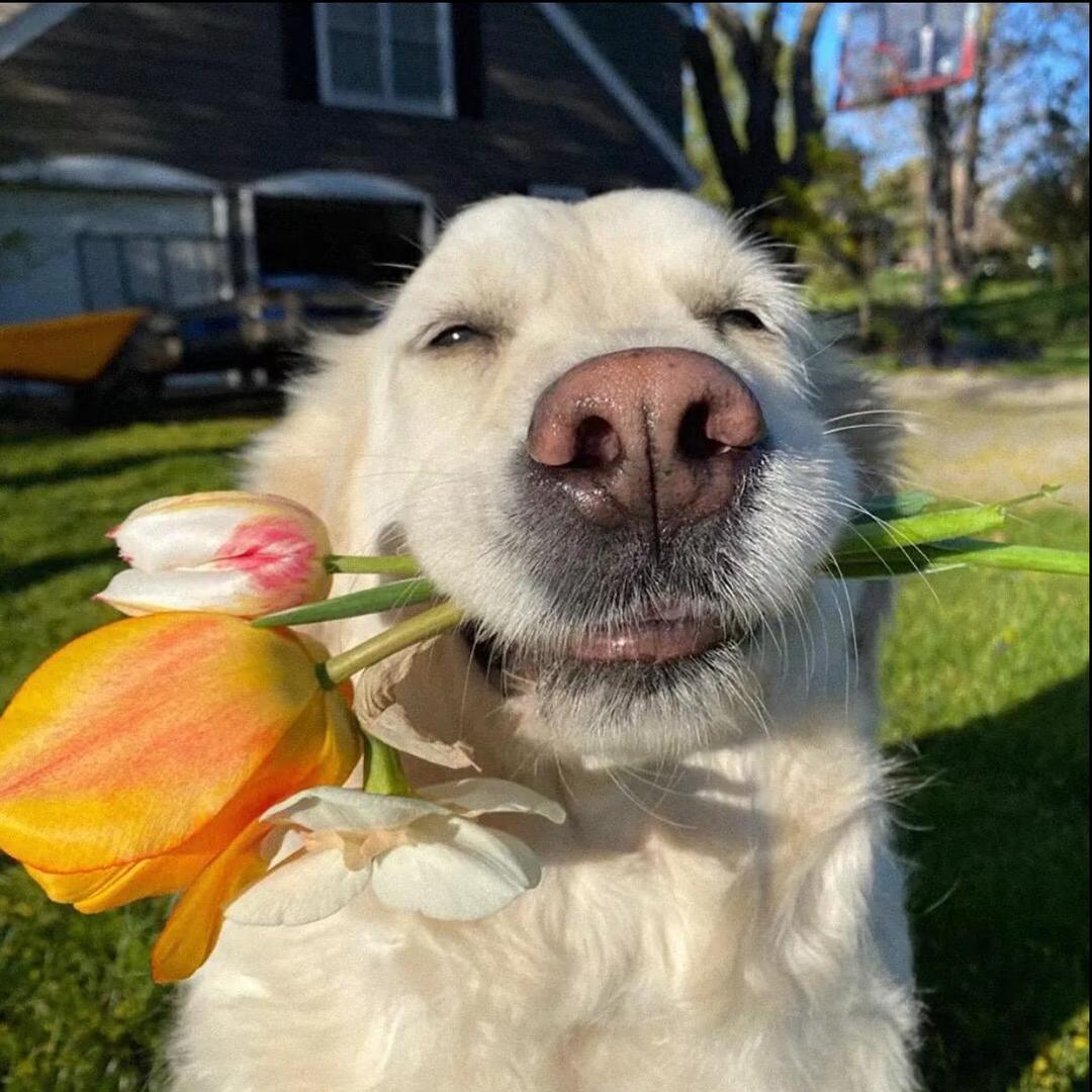 赛文姥爷很无趣