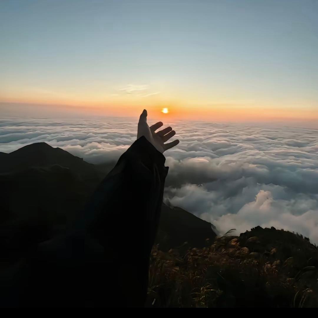 小莎鱼