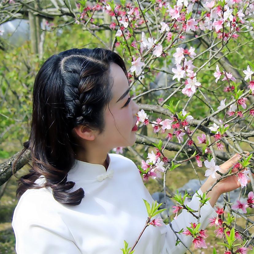 小燕子