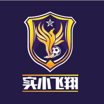 实小飞翔-校园青训足球